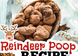Reindeer Poop