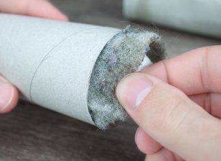 Stop throwing out toilet paper tubes. Try these 10 hacks instead