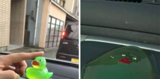 Feeling Down? These Photos Will Make Your Day So Much Better