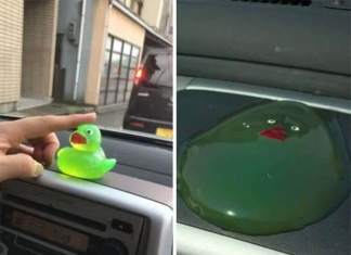 Feeling Down? These Photos Will Make Your Day So Much Better