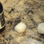 9+ Ways To Keep Ants, Fleas, And Other Pests Out Of Your Home