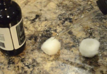 9+ Ways To Keep Ants, Fleas, And Other Pests Out Of Your Home