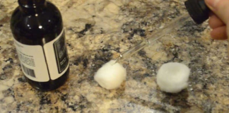 9+ Ways To Keep Ants, Fleas, And Other Pests Out Of Your Home