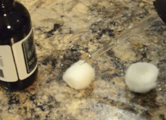 9+ Ways To Keep Ants, Fleas, And Other Pests Out Of Your Home