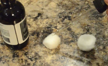 9+ Ways To Keep Ants, Fleas, And Other Pests Out Of Your Home