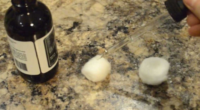 9+ Ways To Keep Ants, Fleas, And Other Pests Out Of Your Home