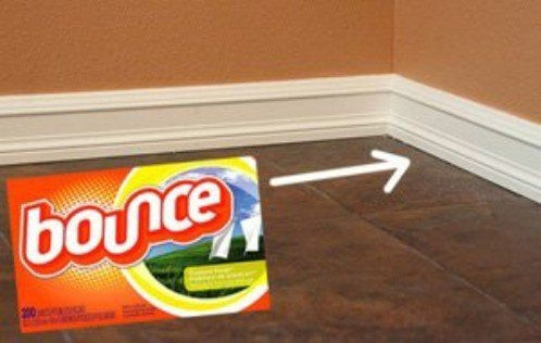 Clever Cleaning Hacks That Will Leave Everything Sparkling - Cleaning & Household 2024 | PopcornTime