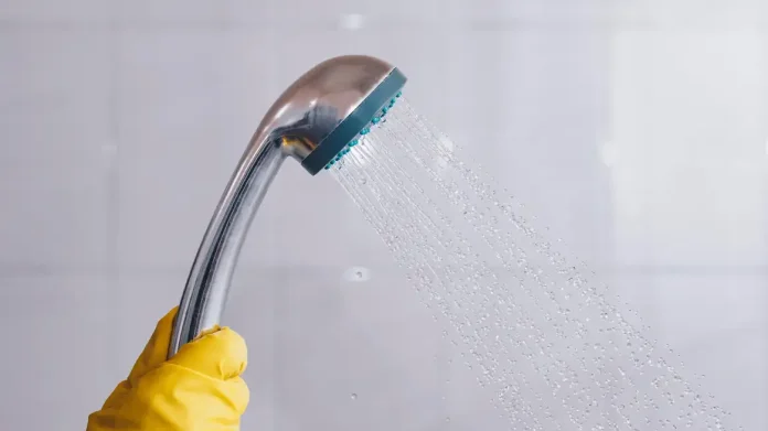 How to Clean Your Shower Head (and Why You Should) - Cleaning & Household 2024 | PopcornTime