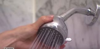Your Bathroom Shower Could Be Making You Sick
