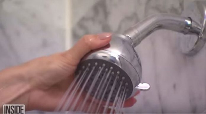 Your Bathroom Shower Could Be Making You Sick
