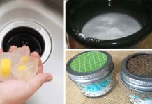 8 Easy Ways To Remove Stubborn Odors From Your Home