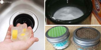 8 Easy Ways To Remove Stubborn Odors From Your Home