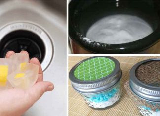 8 Easy Ways To Remove Stubborn Odors From Your Home