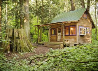 Women Live Longer When Surrounded By Nature, According to Science