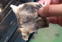 How to Clean Oven Glass Even When It Gets Really Grossy