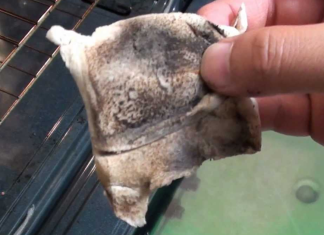 How to Clean Oven Glass Even When It Gets Really Grossy