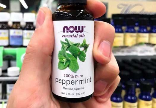 11+ Awesome Ways To Use Peppermint Around The House - Health 2024 | PopcornTime