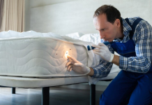 How to Get Rid of Bed Bugs in a Mattress in 5 Steps