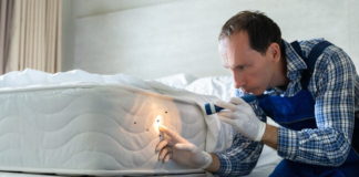 How to Get Rid of Bed Bugs in a Mattress in 5 Steps