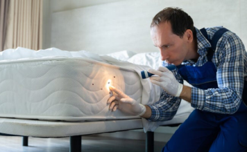 How to Get Rid of Bed Bugs in a Mattress in 5 Steps