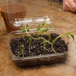 Money-Saving Hacks And Clever DIYs With Ordinary Items We All Have at Home