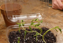 Money-Saving Hacks And Clever DIYs With Ordinary Items We All Have at Home