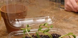 Money-Saving Hacks And Clever DIYs With Ordinary Items We All Have at Home