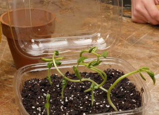 Money-Saving Hacks And Clever DIYs With Ordinary Items We All Have at Home