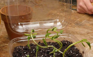 Money-Saving Hacks And Clever DIYs With Ordinary Items We All Have at Home