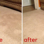 The Two Dollar Store Ingredients That Will Make Your Carpet Look New Again