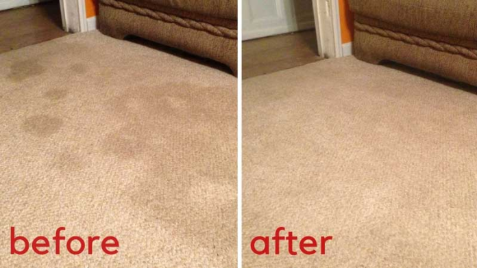 The Two Dollar Store Ingredients That Will Make Your Carpet Look New Again - Cleaning & Household 2024 | PopcornTime