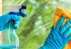 10 Things You Didn’t Know Windex Can Do