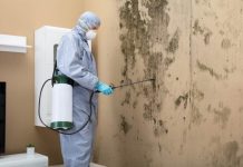 Solved! Who Do You Call for Mold Inspection?