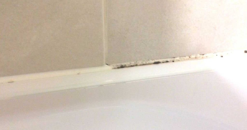 How To Easily Remove Mold And Mildew From Bathroom Caulking Grandma's Things