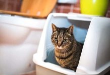 Does Your Home Smell Funny? 12 Odors That Could Mean Big Trouble