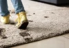How to Keep Carpets From Polluting Your Indoor Air
