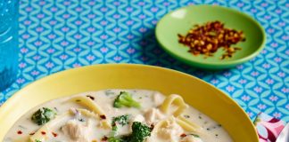 Chicken Alfredo Soup