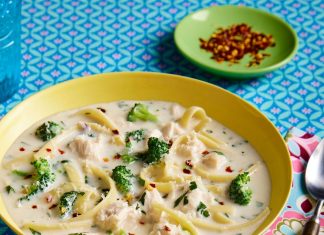 Chicken Alfredo Soup