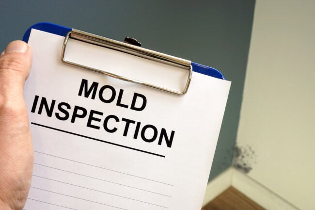 Solved! Who Do You Call for Mold Inspection? - Cleaning & Household 2024 | PopcornTime