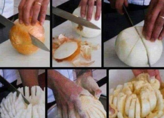 Outback Steakhouse Bloomin Onion