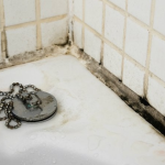 Solved! What to do about black mold in the bathroom?