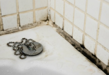 Solved! What to do about black mold in the bathroom?