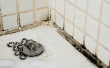 Solved! What to do about black mold in the bathroom?