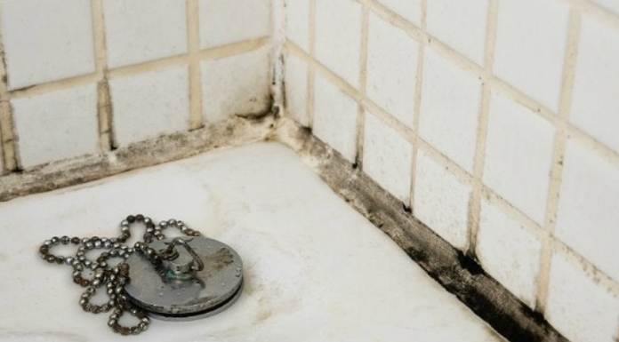 Solved! What to do about black mold in the bathroom?