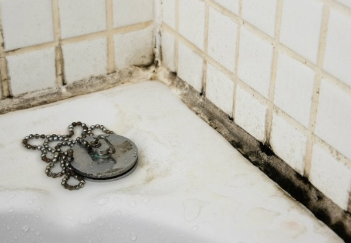 Solved! What to do about black mold in the bathroom? - Cleaning & Household 2024 | PopcornTime
