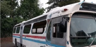 A 1966 Greyhound bus converted into a stunning cottage