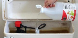 7 Reasons Why Adding Vinegar to Your Toilet Tank is a Must-Do Trick