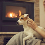 5 tips to make your home a sanctuary