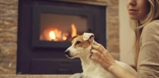 5 tips to make your home a sanctuary