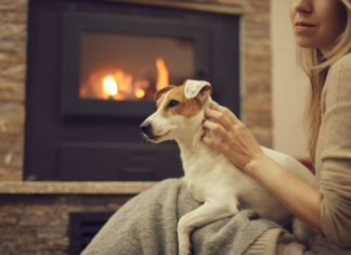 5 tips to make your home a sanctuary